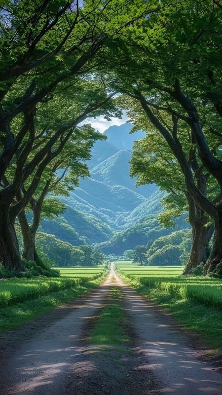 LA ROUTE