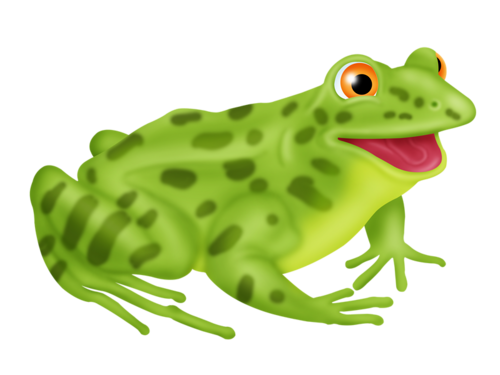 GRENOUILLE