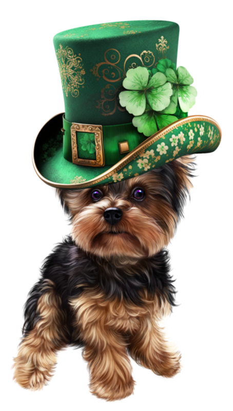 TUBE SAINT PATRICK ANIMAUX