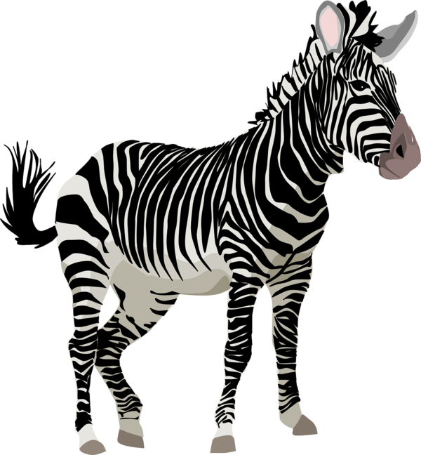 ZEBRE