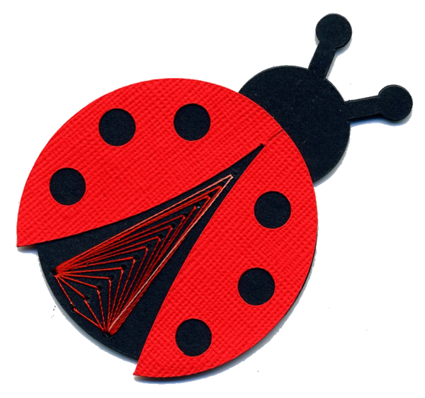 COCCINELLE