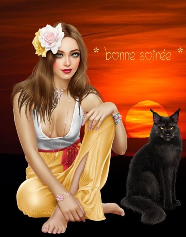 BONNE SOIREE