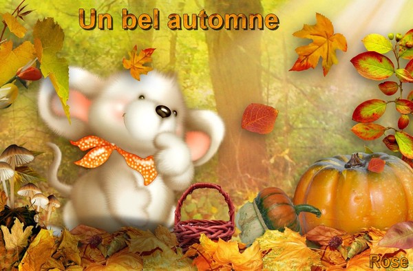 L'AUTOMNE ARRIVE...