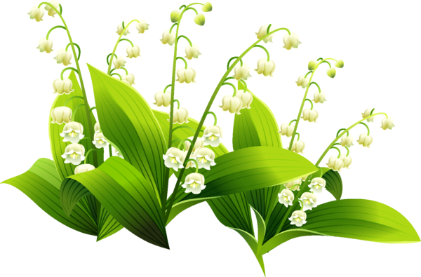 TUBE MUGUET