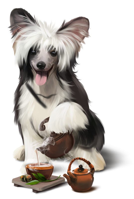 CHIEN 5