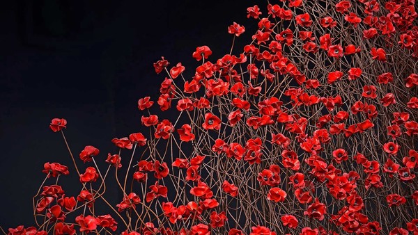 COQUELICOTS 2