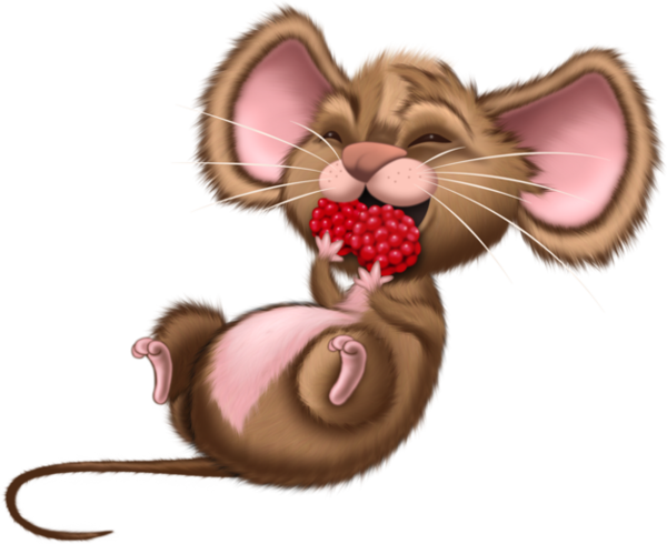 RAT SOURIS... 2