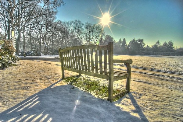 LE BANC