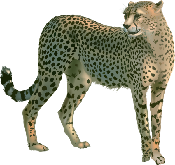 GUEPARD