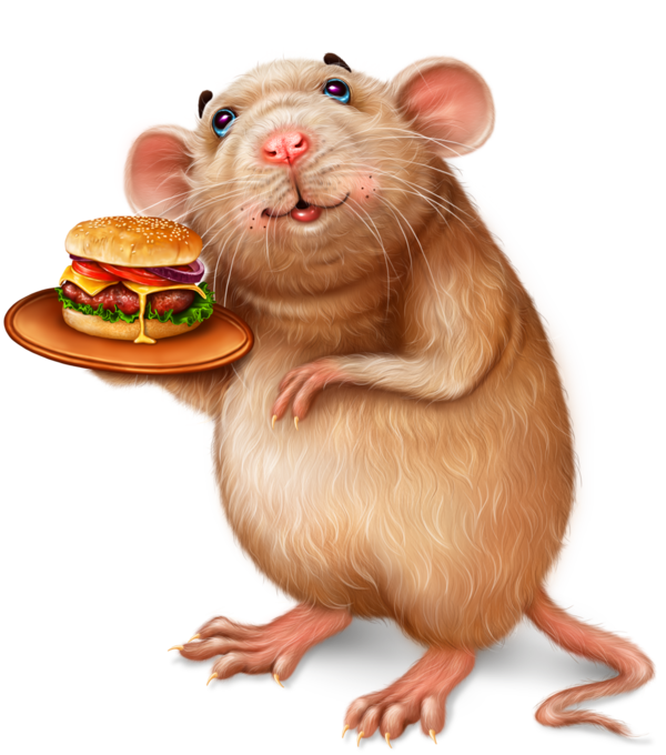 SOURIS RAT HAMSTER... 2