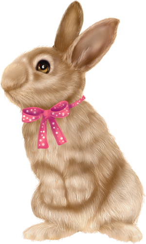 LAPIN