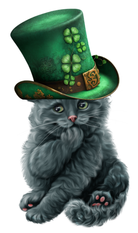 TUBE SAINT PATRICK ANIMAUX