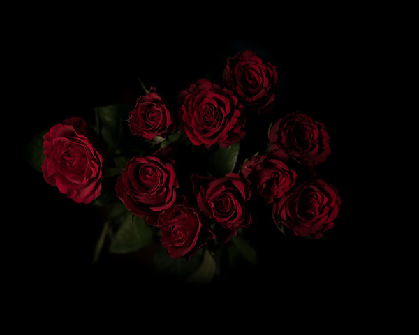 ROSES 2