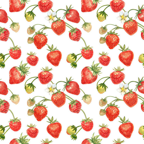 LES FRAISES 2