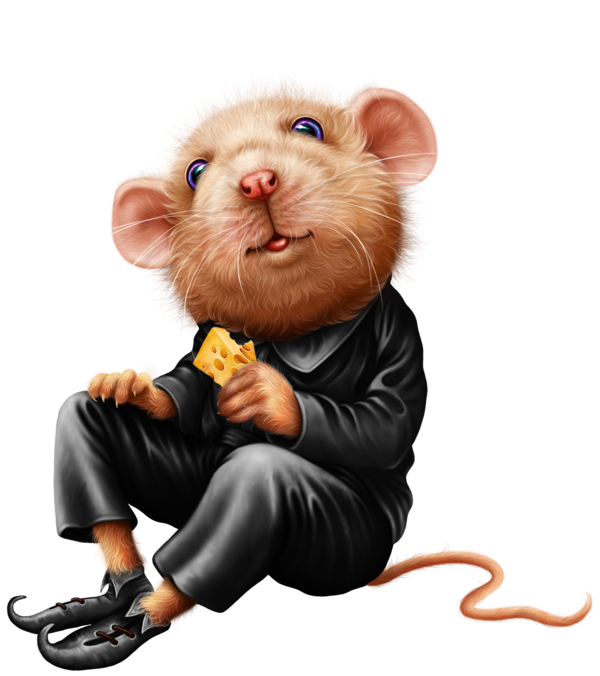 SOURIS RAT HAMSTER... 2