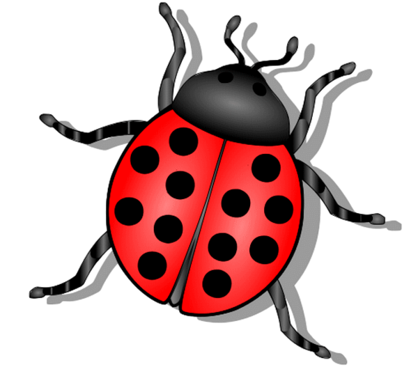 COCCINELLE