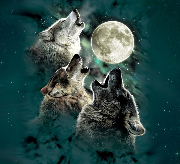 LOUPS