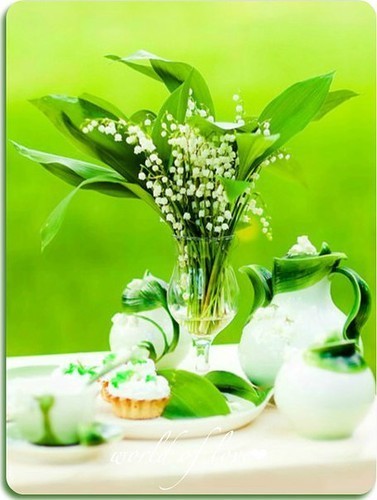 LE MUGUET