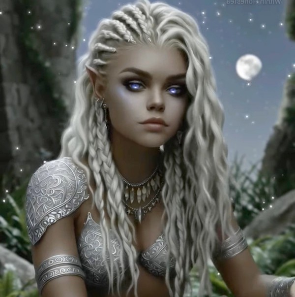 ELFE 6