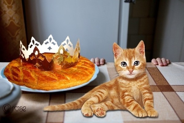 UNE GALETTE DES ROIS ?