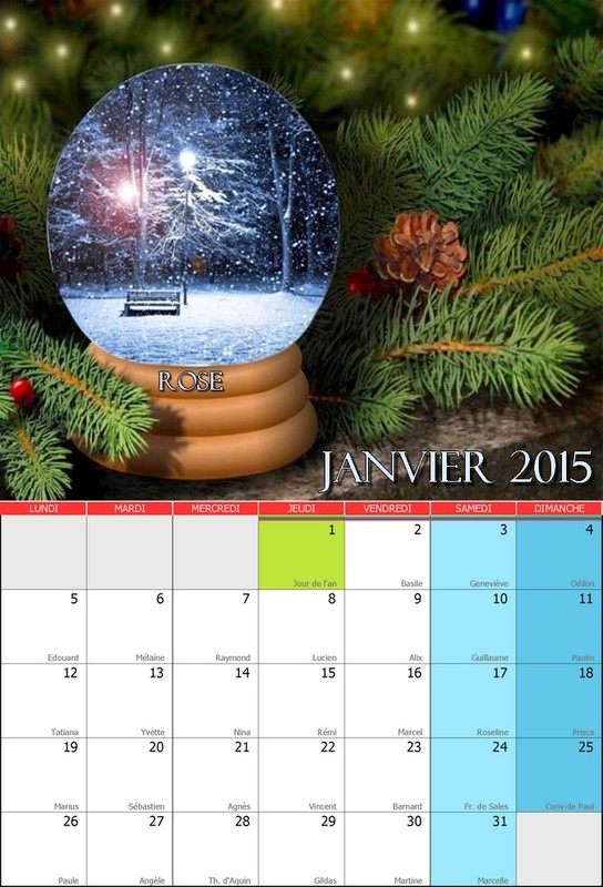 CALENDRIER JANVIER 2O15