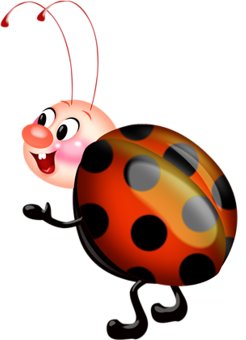 COCCINELLE