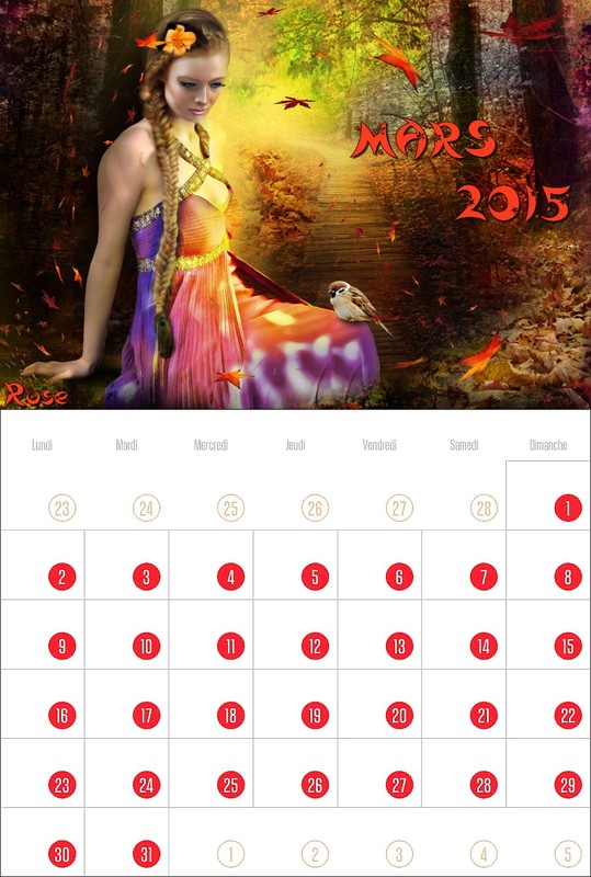 CALENDRIER MARS 2015