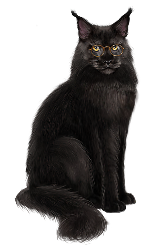 CHAT 7