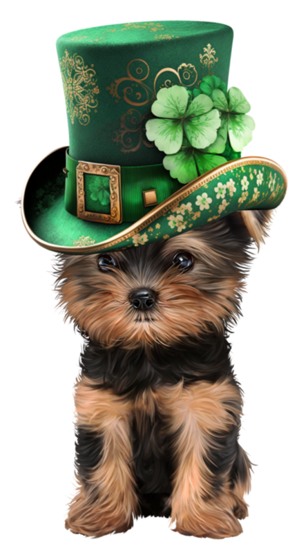 TUBE SAINT PATRICK ANIMAUX