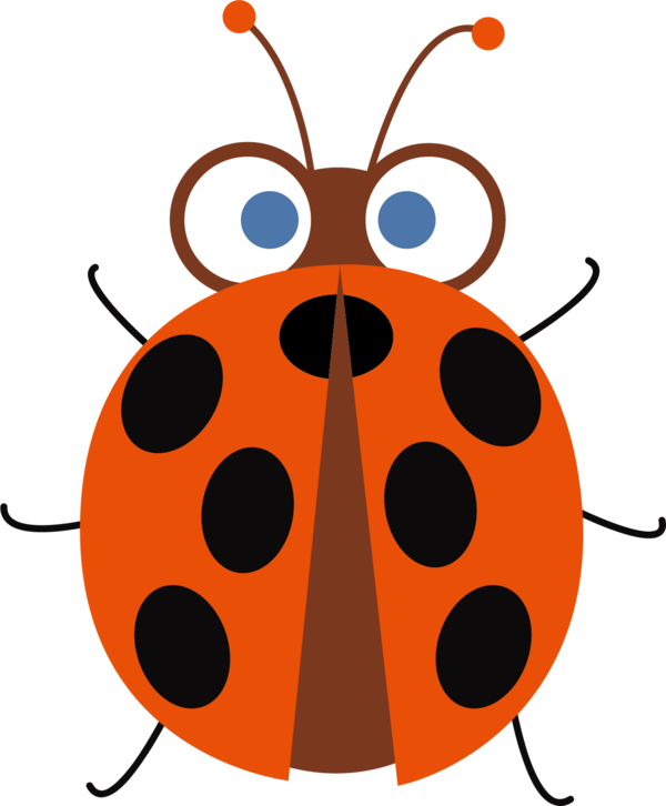 COCCINELLE 3