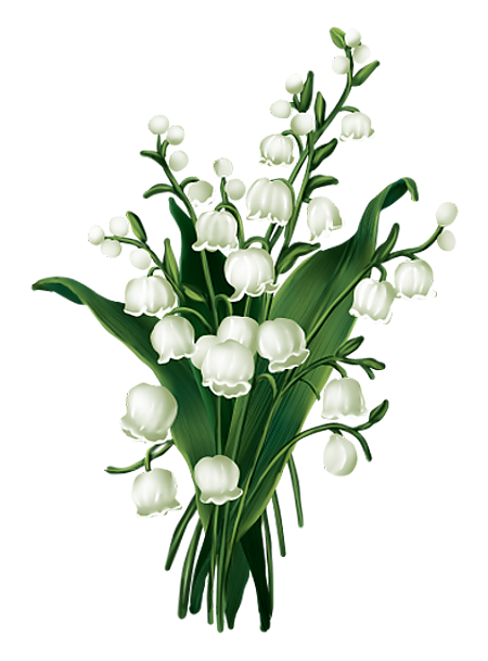 TUBE MUGUET