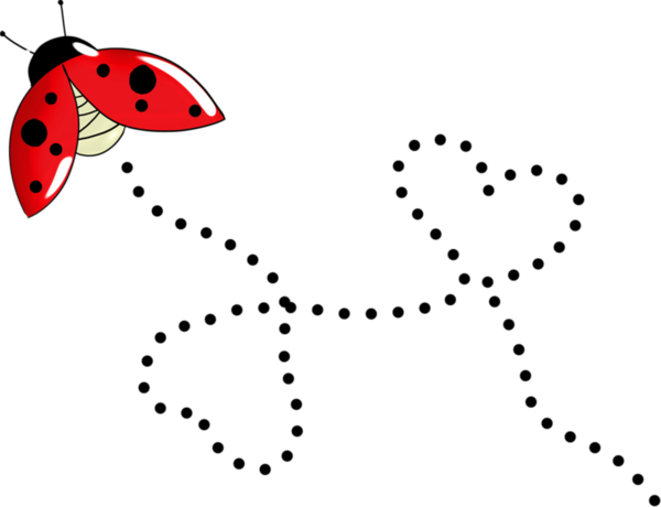 COCCINELLE