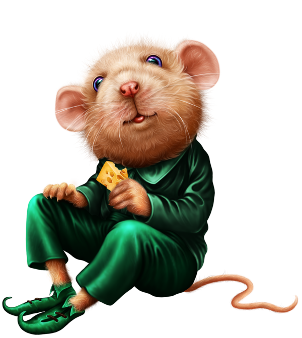 SOURIS RAT HAMSTER... 2