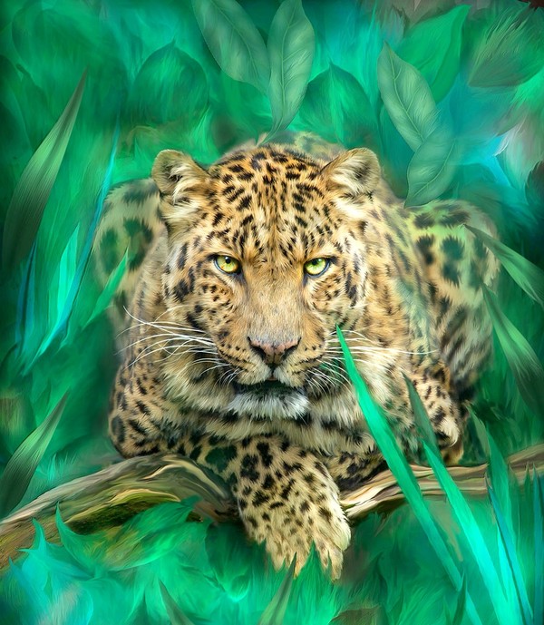 LEOPARD