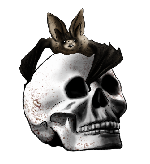 TUBE HALLOWEEN OISEAU + CHAUVE SOURIS