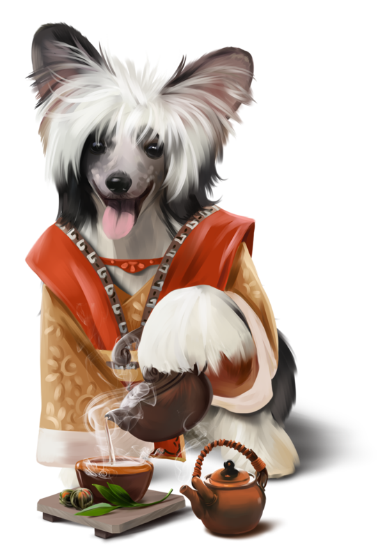CHIEN 5