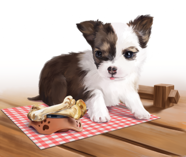 CHIEN 5