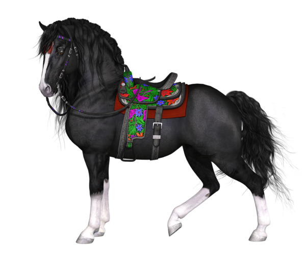 CHEVAL 2