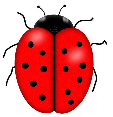 COCCINELLE 2