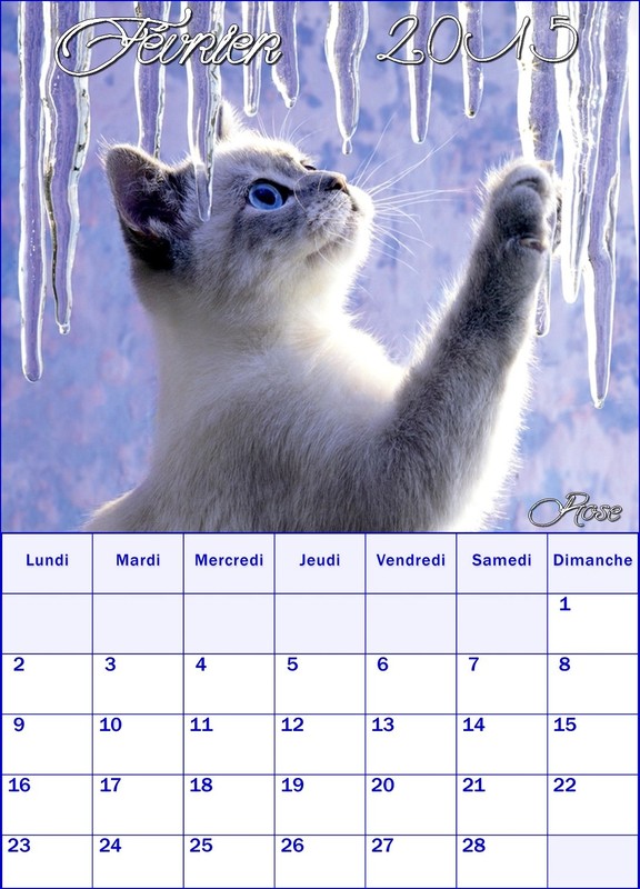 CALENDRIER FEVRIER 2015