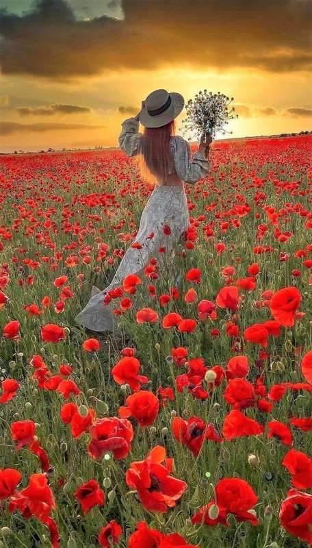 COQUELICOTS 2