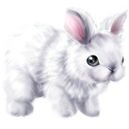 LAPIN