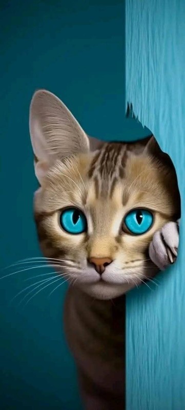 CHAT 7