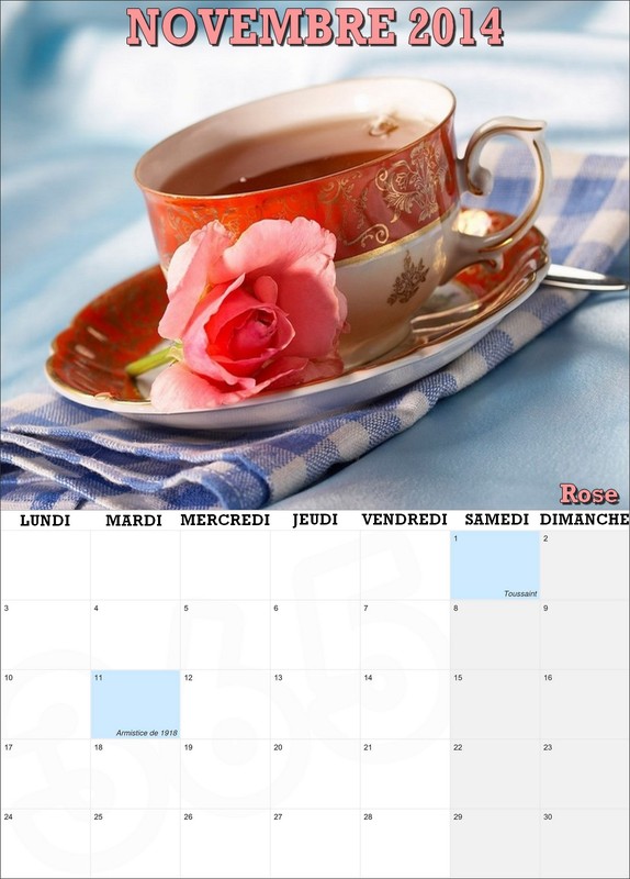 CALENDRIER NOVEMBRE 2014