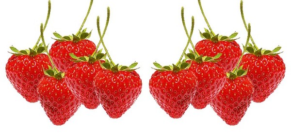 LES FRAISES