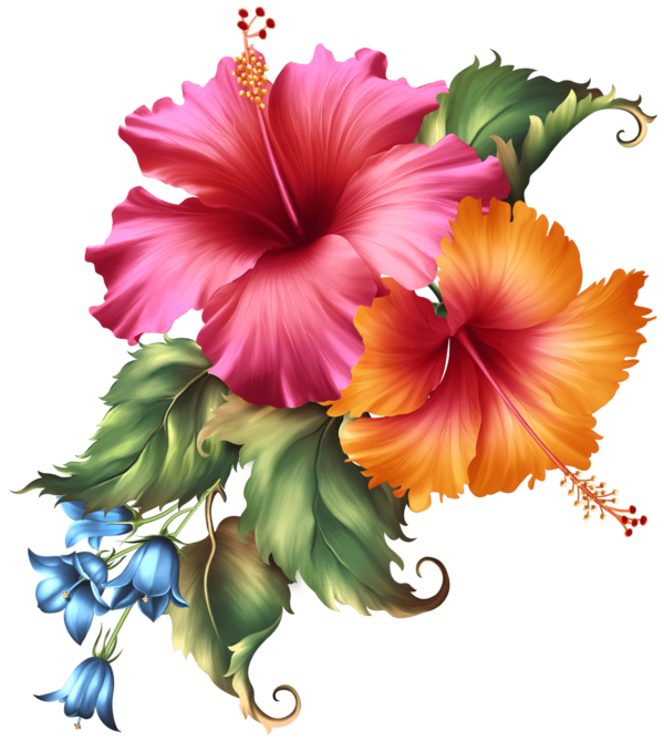 FLEURS 5
