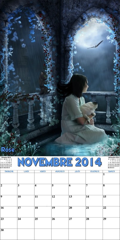 CALENDRIER NOVEMBRE 2014