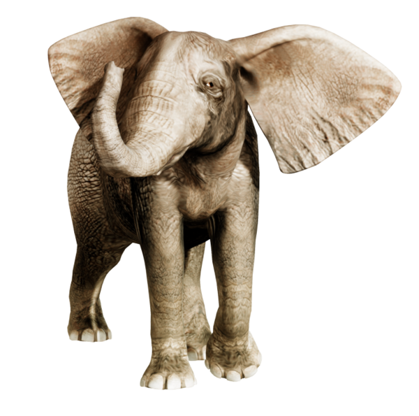 ELEPHANT