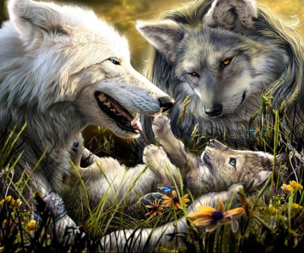 LOUPS