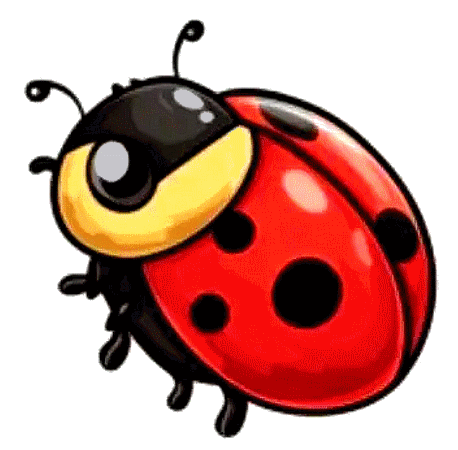 COCCINELLE 3